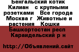 Бенгальский котик Килиан , с крупными розетками - Все города, Москва г. Животные и растения » Кошки   . Башкортостан респ.,Караидельский р-н